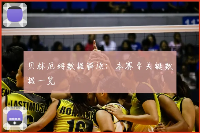 贝林厄姆数据解读：本赛季关键数据一览